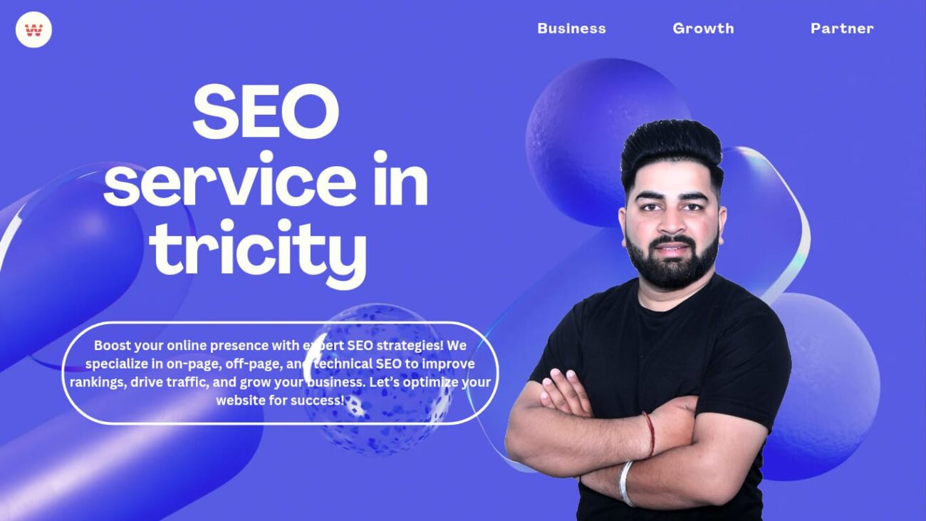 Seo Service In Tricity